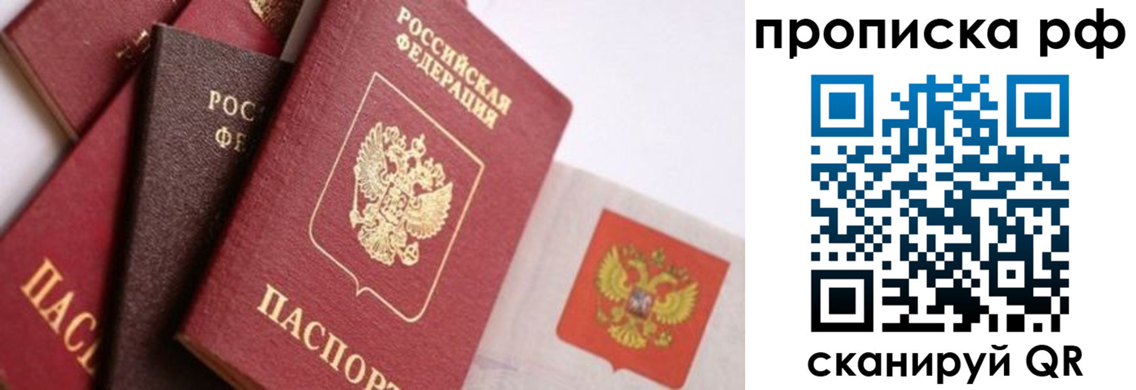 найти адрес прописки в Зеленоградске